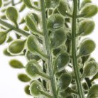 12 ágú levél pick zöld