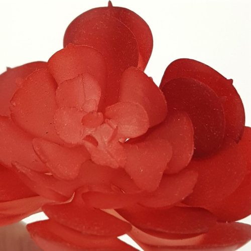 Pozsgás műnövény