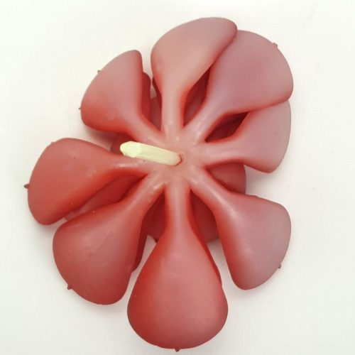 Pozsgás műnövény