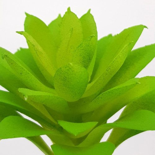 Pozsgás műnövény