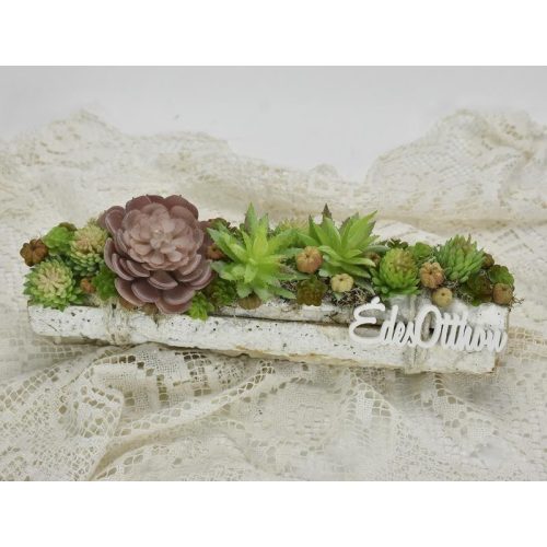 Pozsgás műnövény