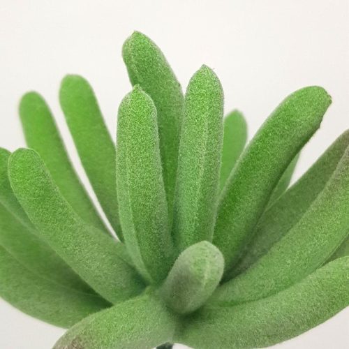 Pozsgás műnövény