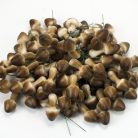 Erdei gomba - sötétbarna 100db/csomag - OKOSÁR!