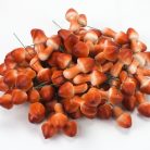 Erdei gomba - világosbarna 100db/csomag - OKOSÁR!