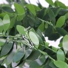 Dekorációs babérfüzér nagylevelű 75m (10x7,5m)