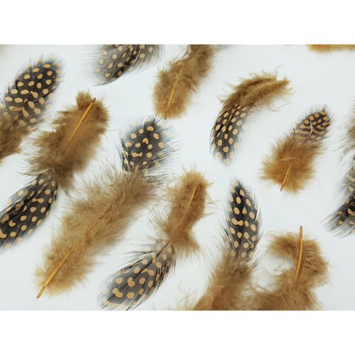 Gyöngytyúk toll rozsdabarna 7-8cm 100db/csomag