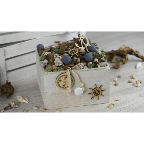 Vegyes csigák 4-6cm 10dkg/csomag