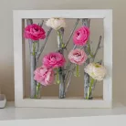 Üvegcse parafadugóval 5x2,1cm 20db/csomag