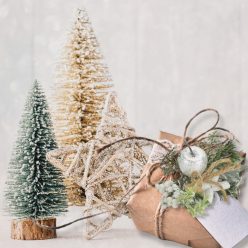 Téli pick - Köteles csilllámos ág almával