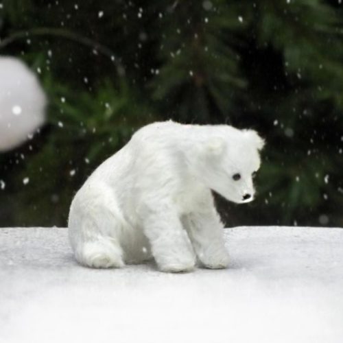 Jegesmedve ülő prémium