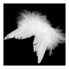 Angyalszárny akasztós tollas 9,5 cm fehér 10db - OKOSÁR!