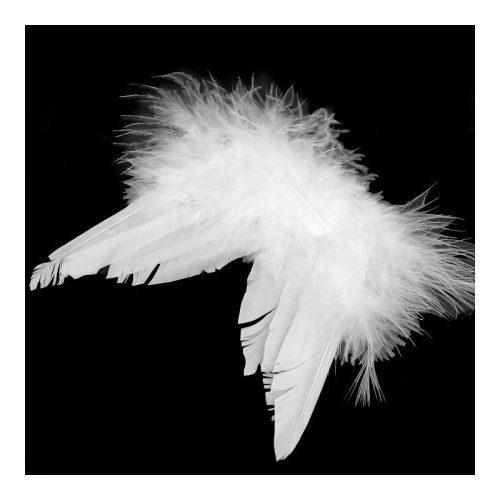 Angyalszárny akasztós tollas 9,5 cm fehér