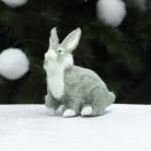 Nyuszi szürke premium