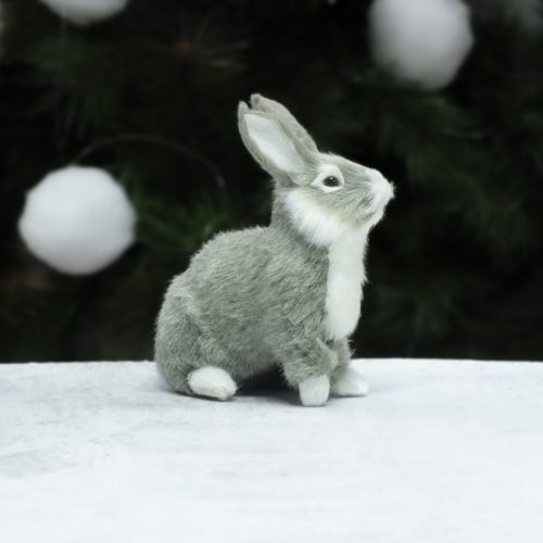 Nyuszi szürke premium