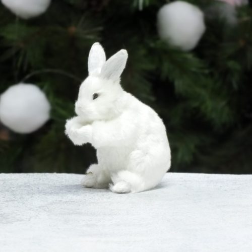 Nyuszi fehér premium