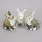 Nyuszi fehér premium