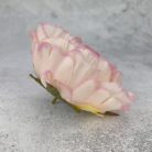 Bazsarózsa fej - cirmos rózsaszín