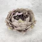 Bazsarózsa fej - pasztell mályva