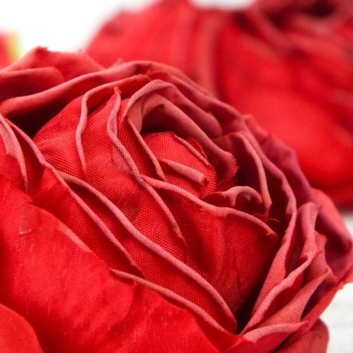 Százlevelű rózsa fej - bordó 4db/csomag