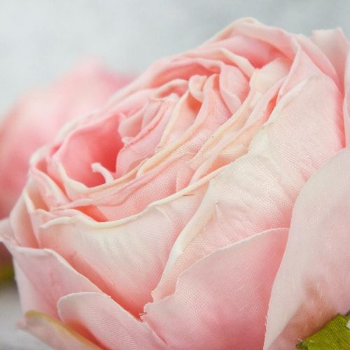 Százlevelű rózsa fej - cirmos rózsaszín 4db/csomag