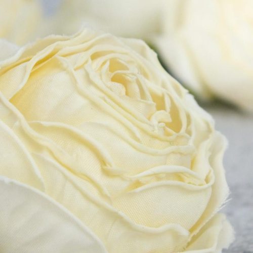 Százlevelű rózsa fej - krém 4db/csomag