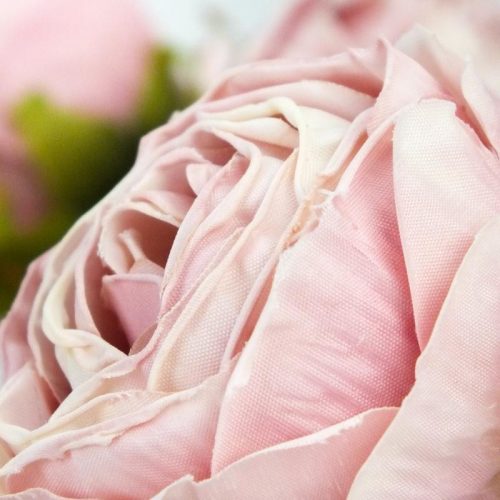 Százlevelű rózsa fej - pasztell cirmos rózsaszín 4db/csomag