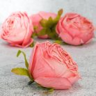 Százlevelű rózsa fej - rózsaszín 4db/csomag