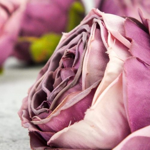 Százlevelű rózsa fej - vintage mályva 4db/csomag