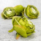 Százlevelű rózsa fej - világoszöld 4db/csomag