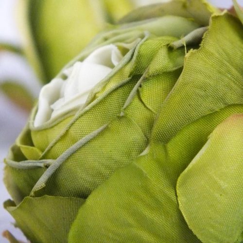 Százlevelű rózsa fej - világoszöld 4db/csomag