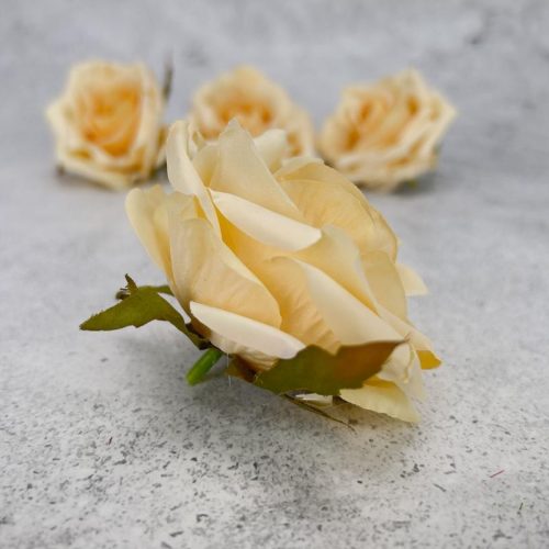 Rózsa fej - krém barack 4db/cs