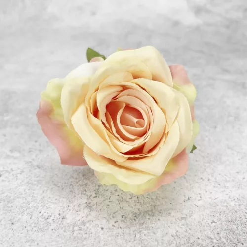 Megarózsa fej - cirmos barack