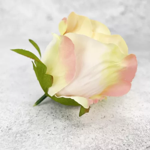 Megarózsa fej - cirmos barack