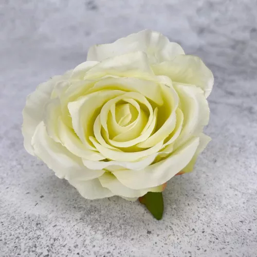 Megarózsa fej - krém