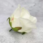 Megarózsa fej - krém