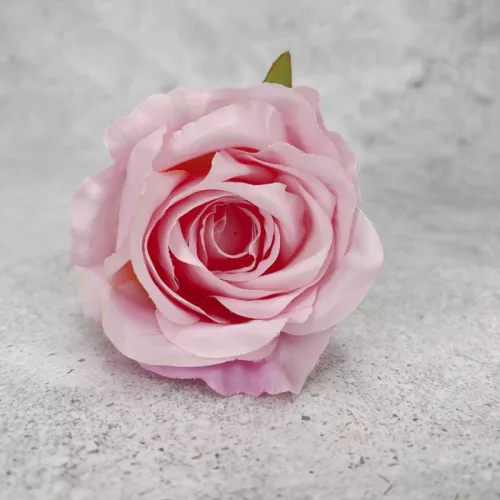 Megarózsa fej - rózsaszín