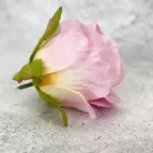 Megarózsa fej - rózsaszín