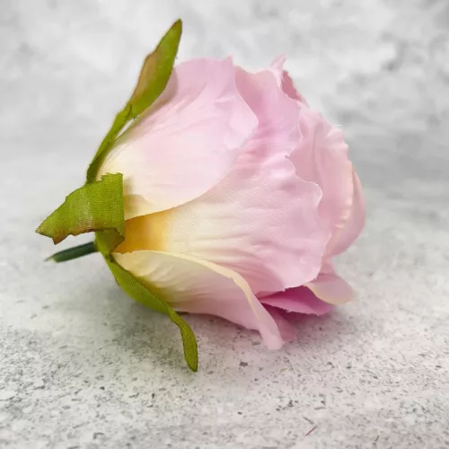 Megarózsa fej - rózsaszín