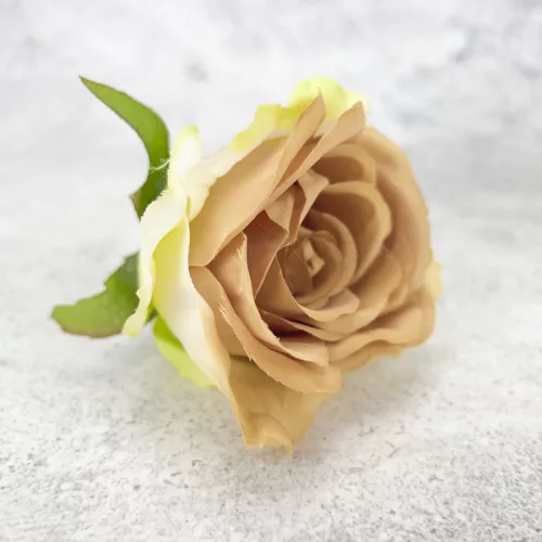 Megarózsa fej - vintage barna