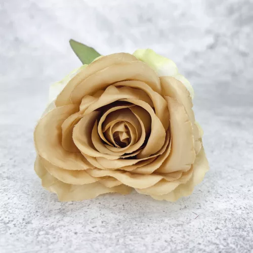 Megarózsa fej - vintage barna