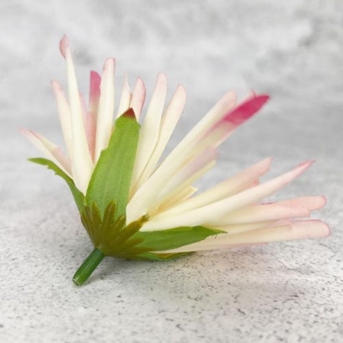 Kínai krizantém fej - cirmos rózsaszín