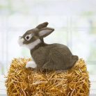 Nyuszi ülő hamvas prémium