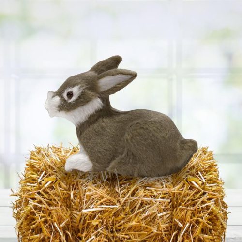 Nyuszi ülő hamvas prémium