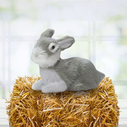 Nyuszi ülő szürke prémium