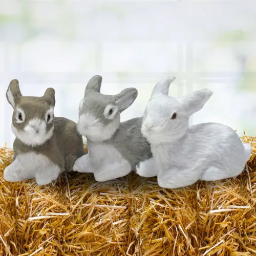 Nyuszi ülő szürke prémium