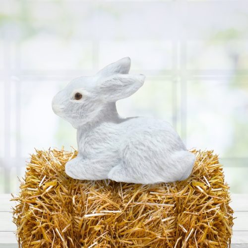 Nyuszi ülő fehér prémium