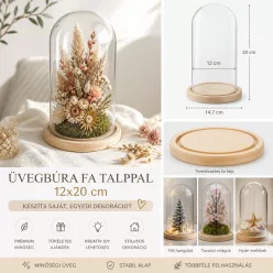   Üvegbúra fa talppal 12x20 cm – prémium DIY dekor és ajándék készítő búra