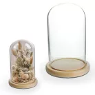 Üvegbúra fa talppal 12x20 cm – prémium DIY dekor és ajándék készítő búra