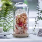 Üvegbúra fa talppal 12x20 cm – prémium DIY dekor és ajándék készítő búra