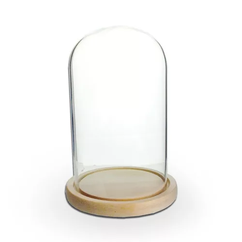 Üvegbúra fa talppal 12x20 cm – prémium DIY dekor és ajándék készítő búra
